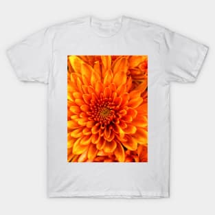 Gerbera daisy T-Shirt